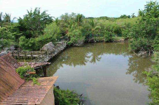 El Paseo de los Cocoteros
